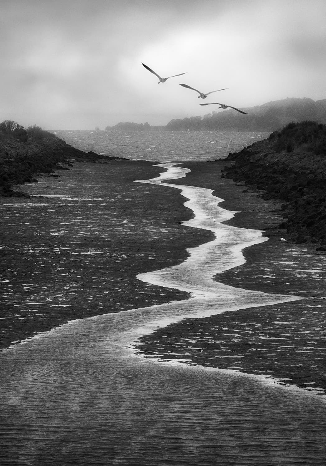 Photograph by Dianne Woods