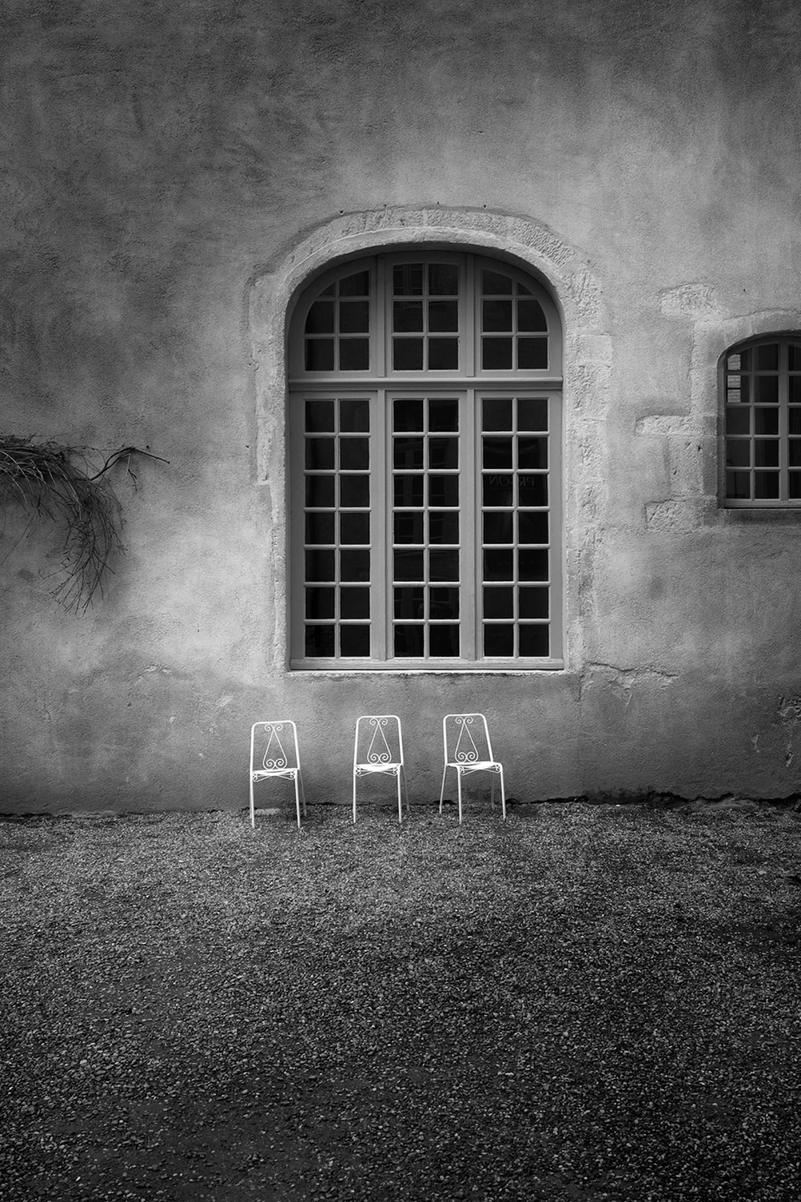Photograph by Dianne Woods